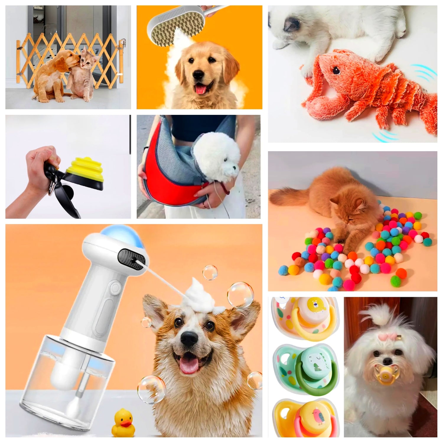 Pets Accessories