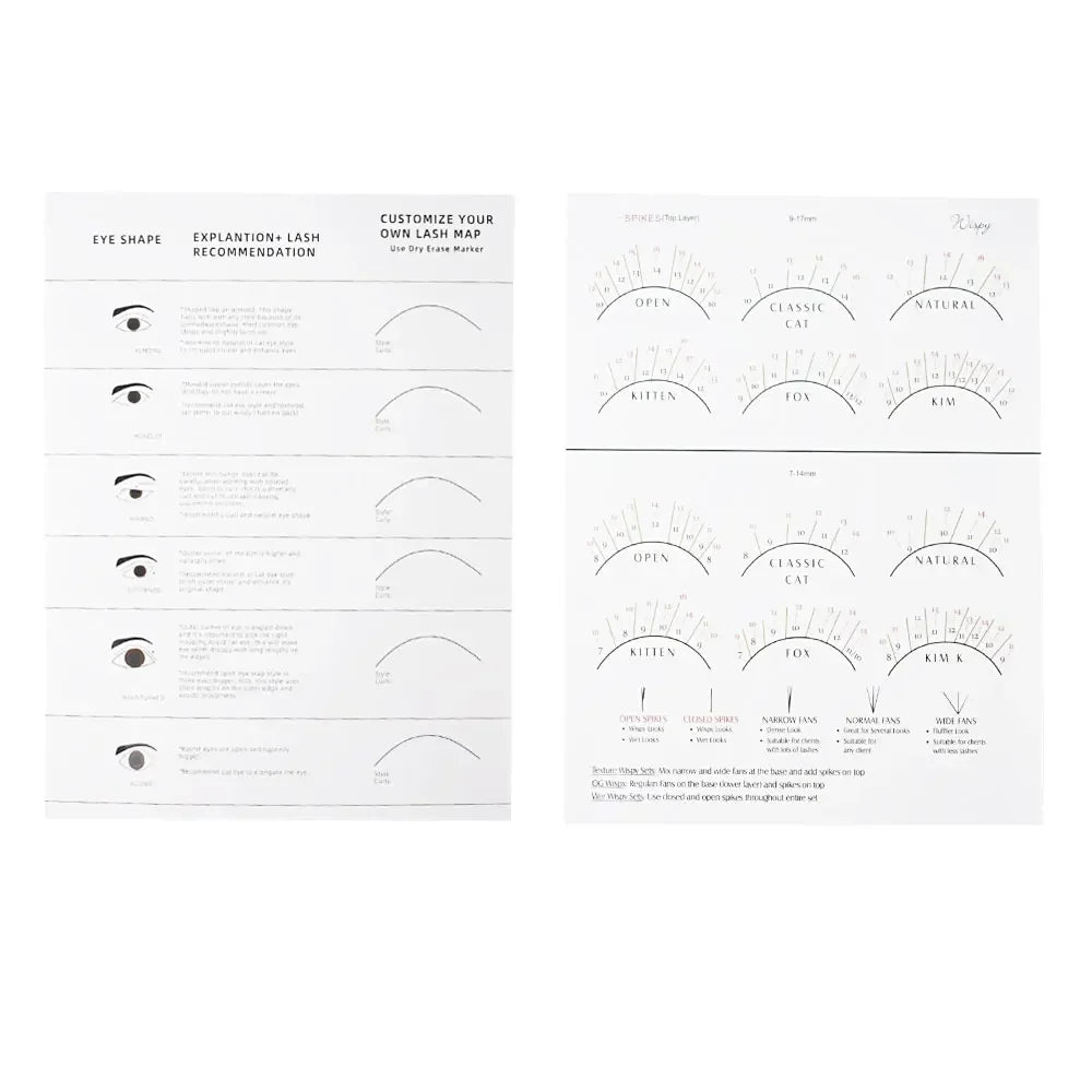 Beginner Lash Map Chart Wispy Lashes Pratice Chart Eye Shape Sponges Reusable Lash Extension Practice Lash Mapping Makeup